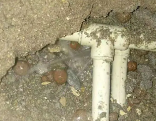 兴宾卫生间测漏