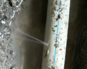 兴宾卫生间测漏水多少钱