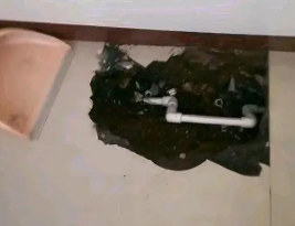兴宾卫生间测漏水多少钱